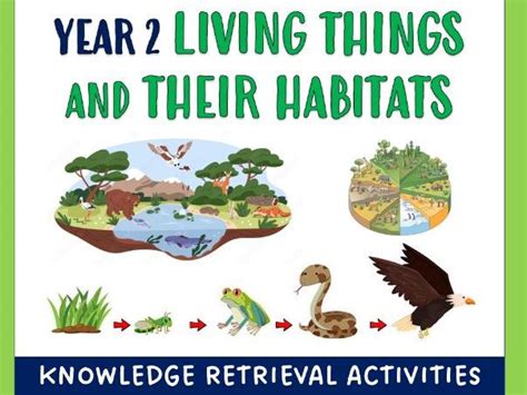 Year 5 Science: Living Things and Their Habitats .